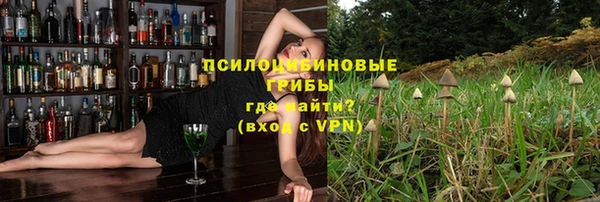 мяу мяу мука Алексеевка