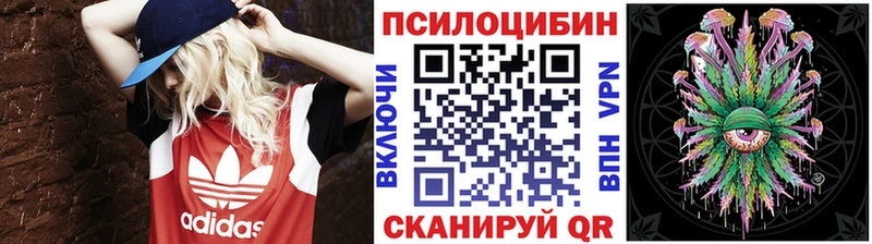 Псилоцибиновые грибы мицелий  OMG зеркало  Заинск 