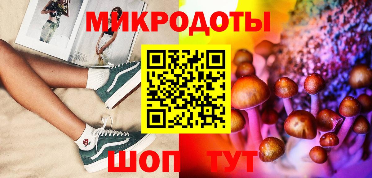 Заинск  Псилоцибиновые грибы мухоморы  Псилоцибиновые грибы мицелий  Вход с VPN 